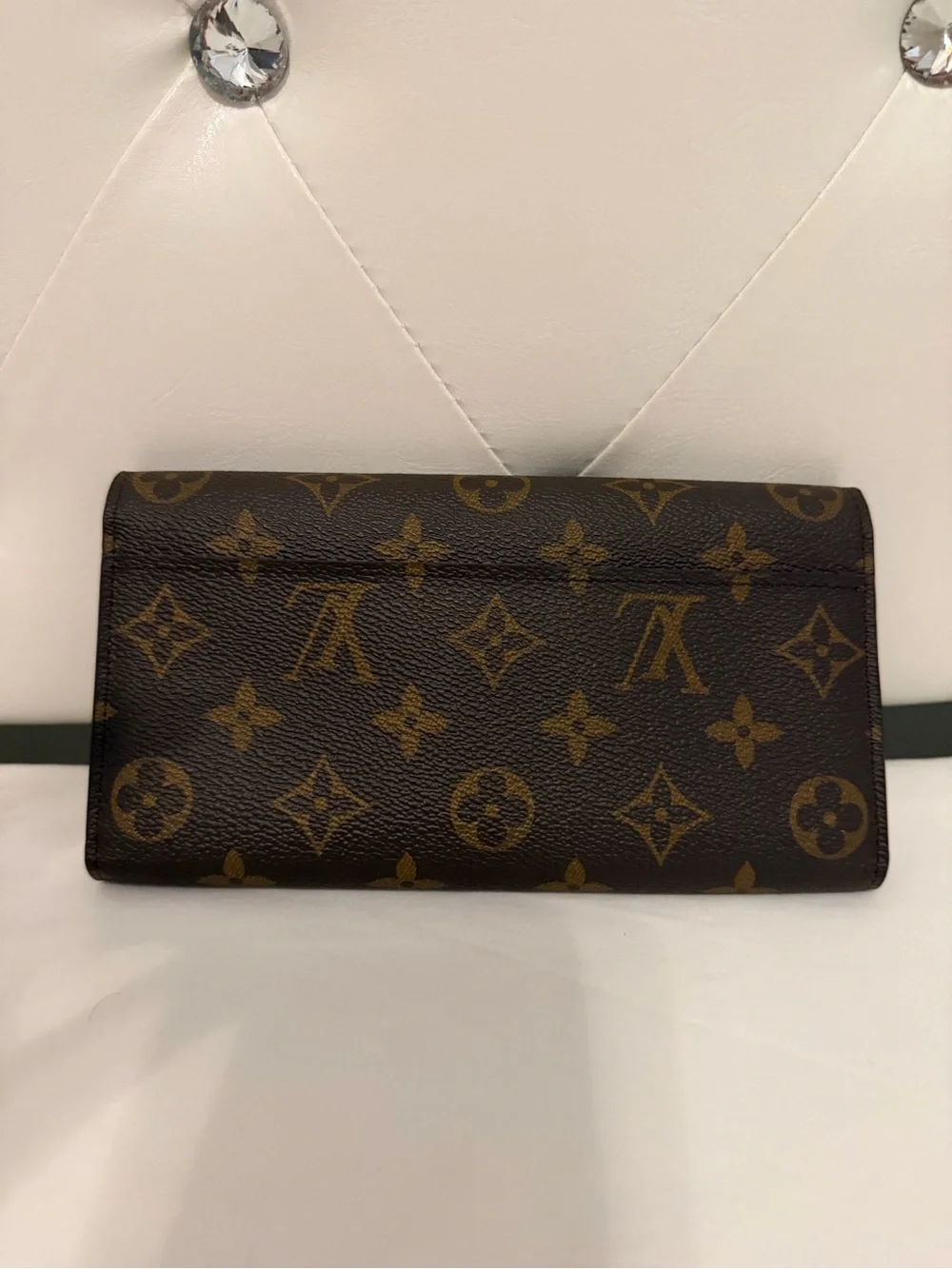 Louis Vuitton authentic louis
